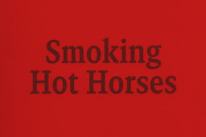 Smoking Hot Horses